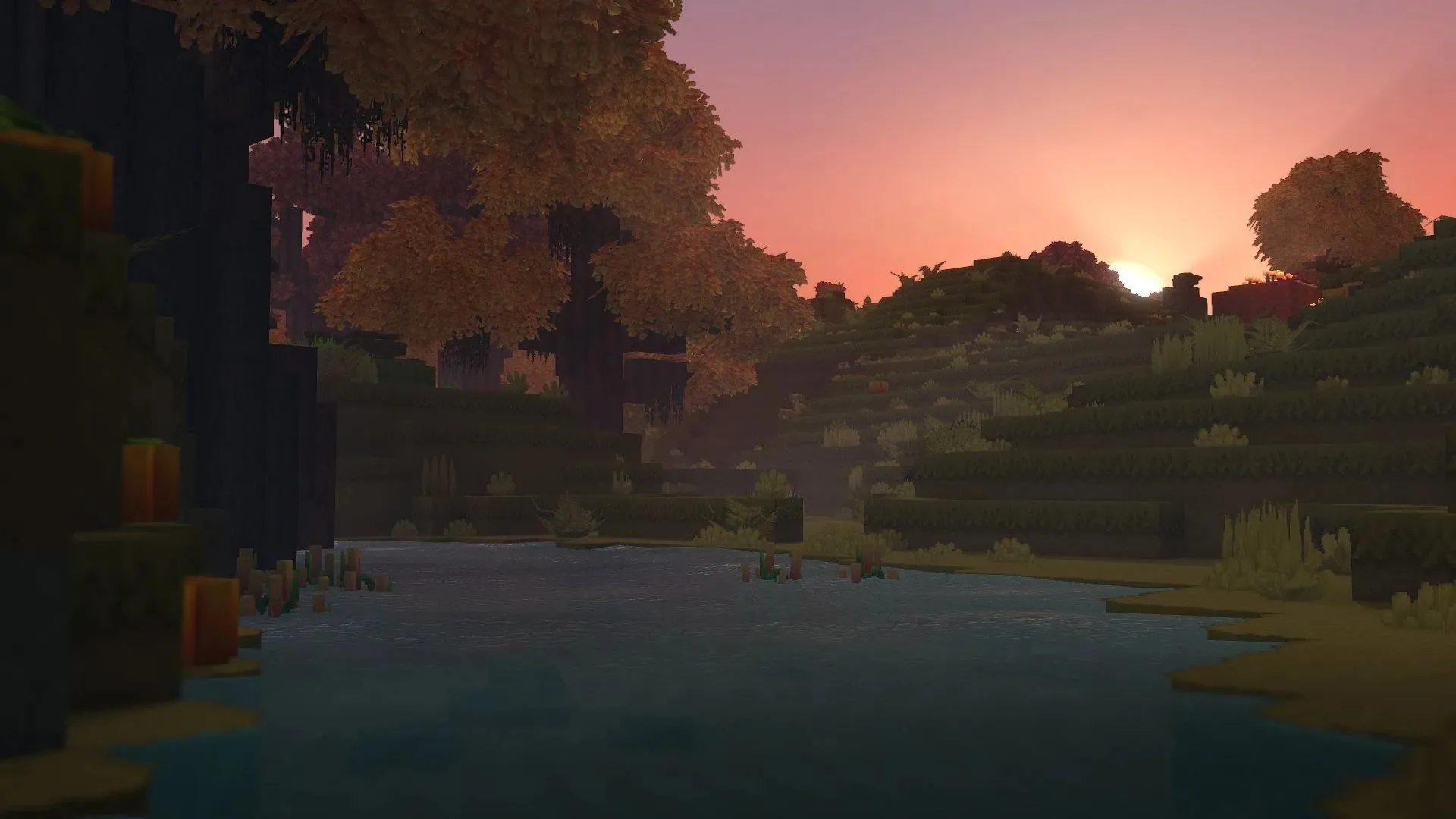 Autumn Forest (Son Orman)