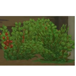 Berry Bush (Böğürtlen Çalısı) görseli