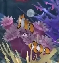Clownfish (Palyaço Balığı) görseli