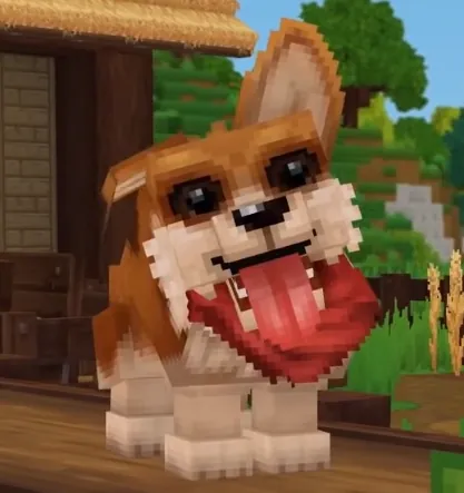 Köpek