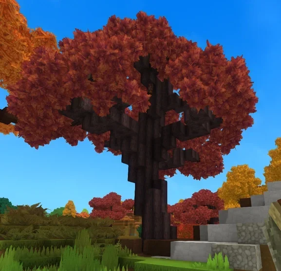 Maple