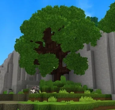 Oak
