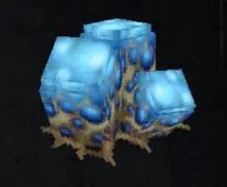 Scarak Eggs