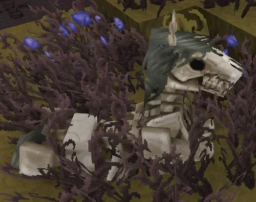 Uyuyan İskele At