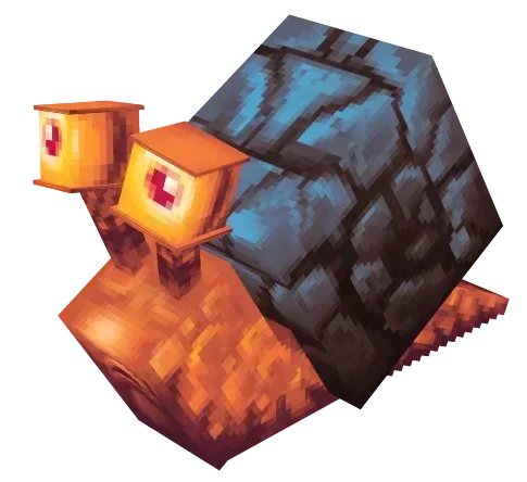 Magma Salyangozu