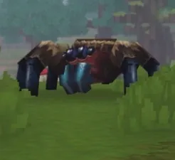 Spider